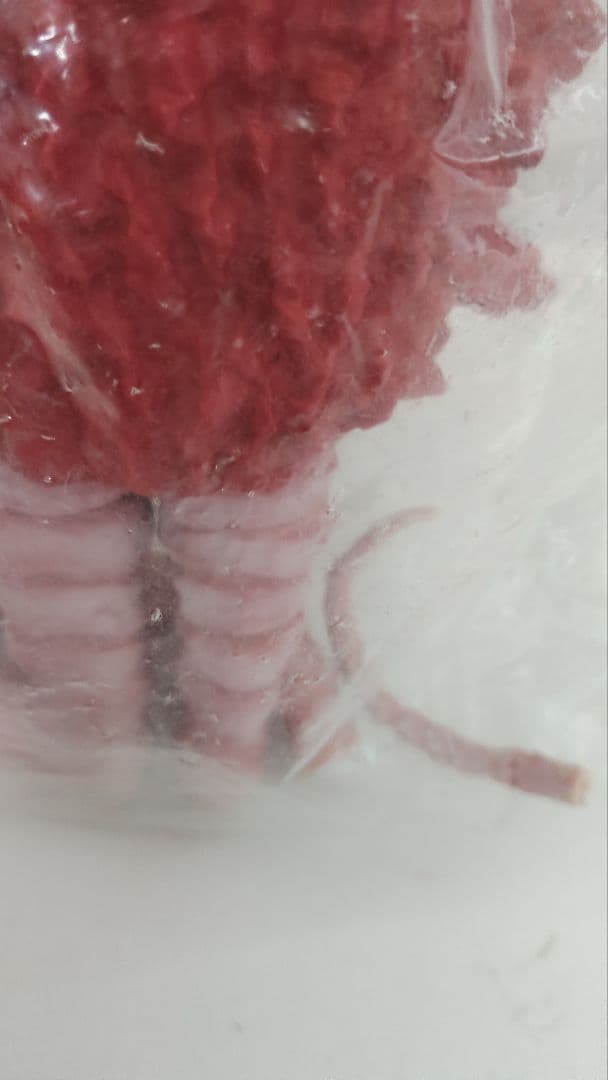 マーミット KAIJUシリーズ　ガラモンソフビ　彩色キット