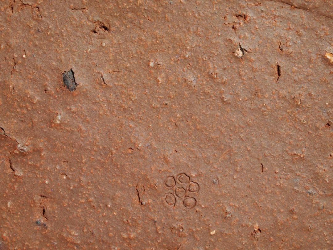 希少作★森陶岳★備前【寒風】角皿５枚組★共箱