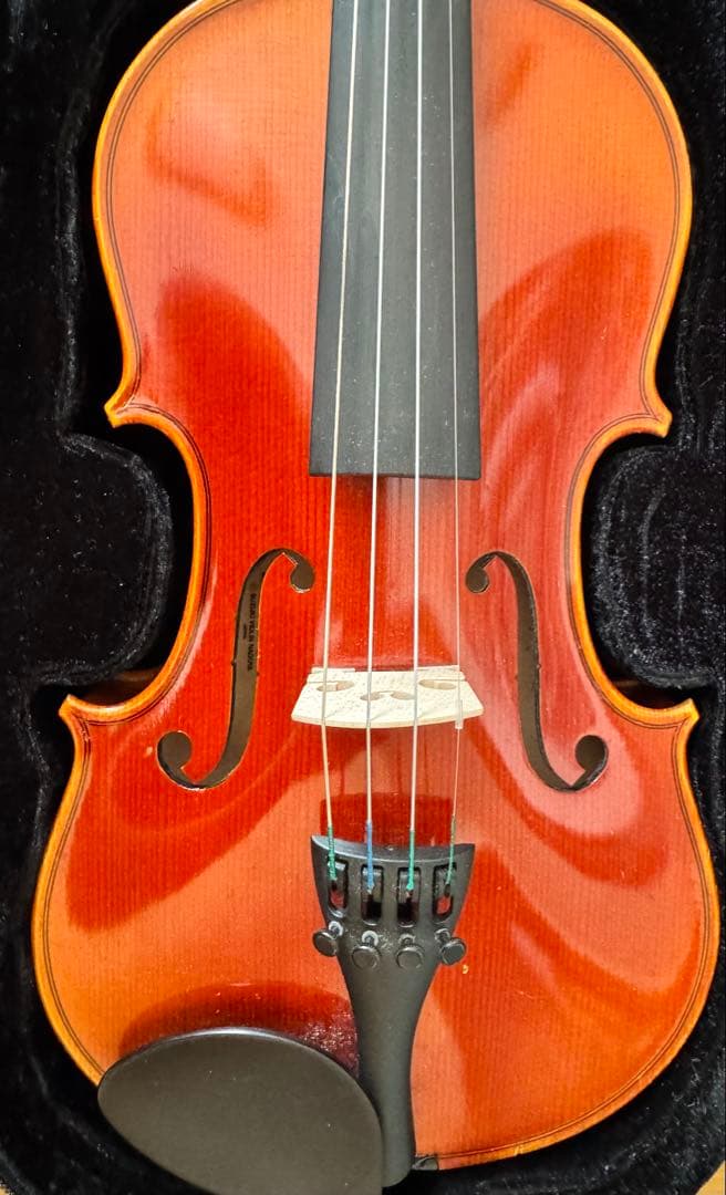 1/2 サイズ　スズキ　鈴木　No.230 アウトフィット　バイオリン　2021