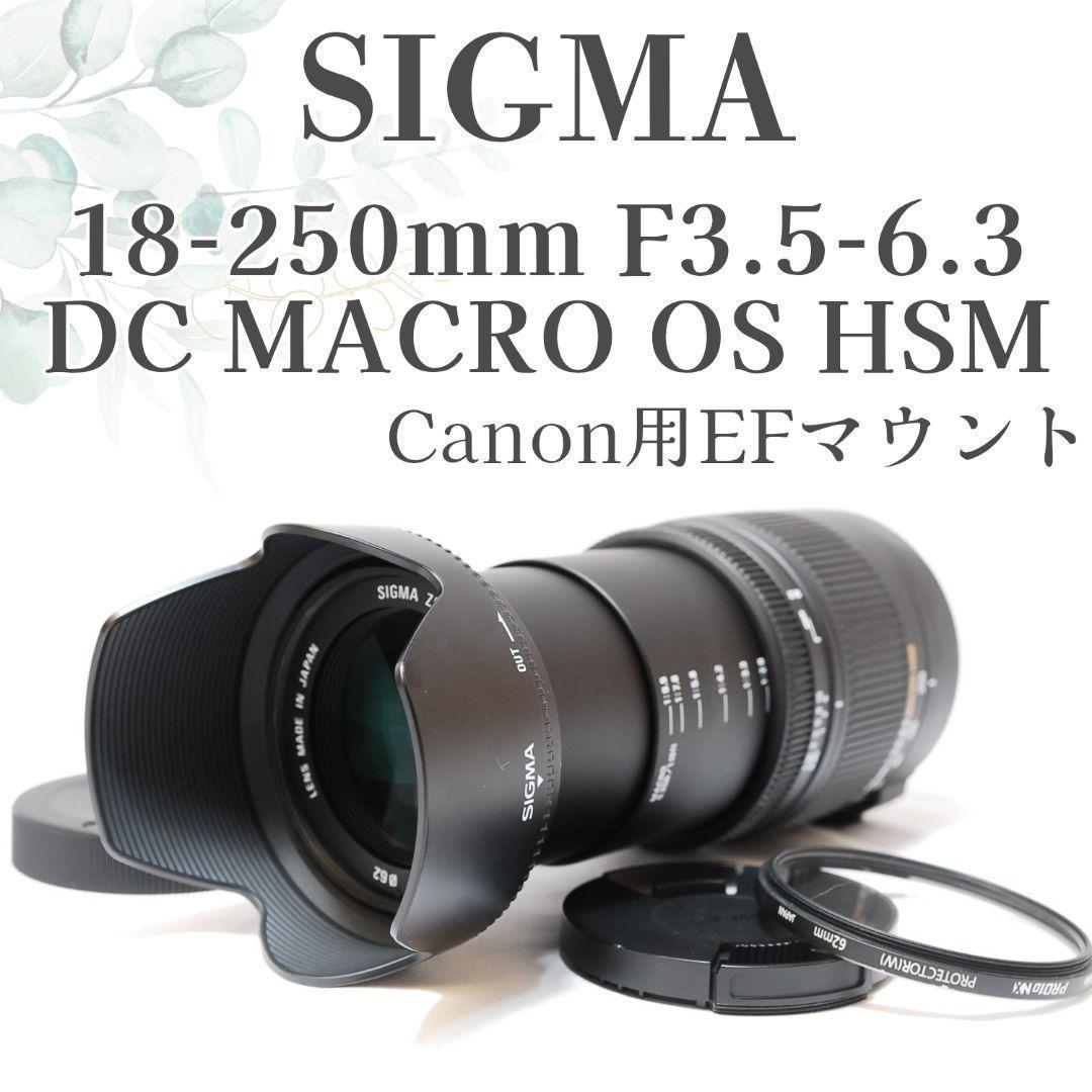 たた様✨美品✨SIGMA 18-250mm MACRO OS HSM✨Canon