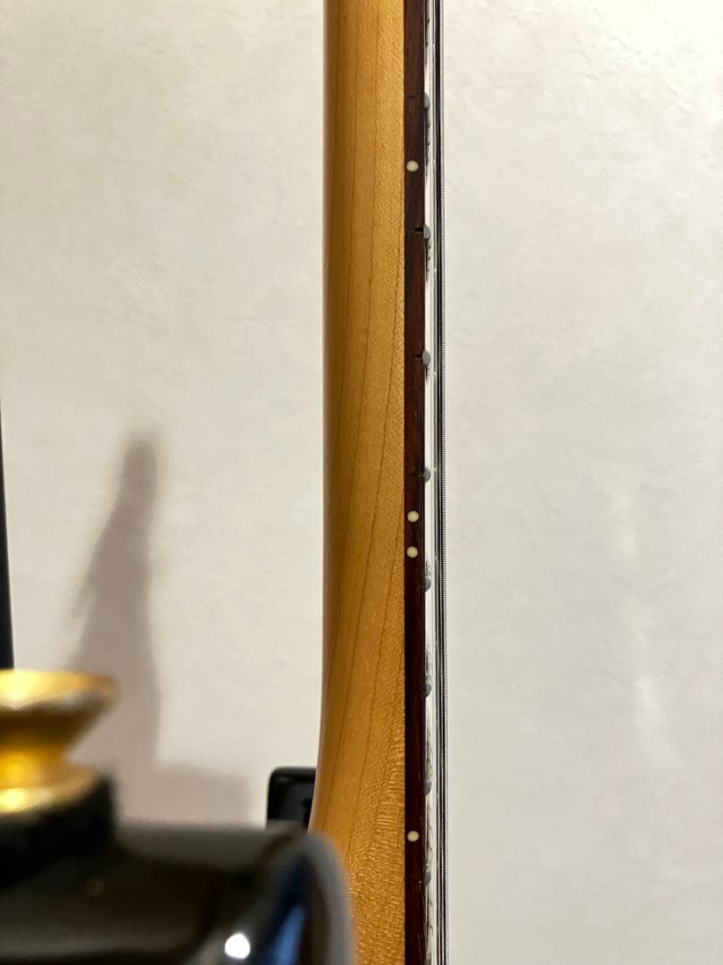 Aria Pro Ⅱ　MAGNA Series　アリアプロ　マグナ　シリーズ