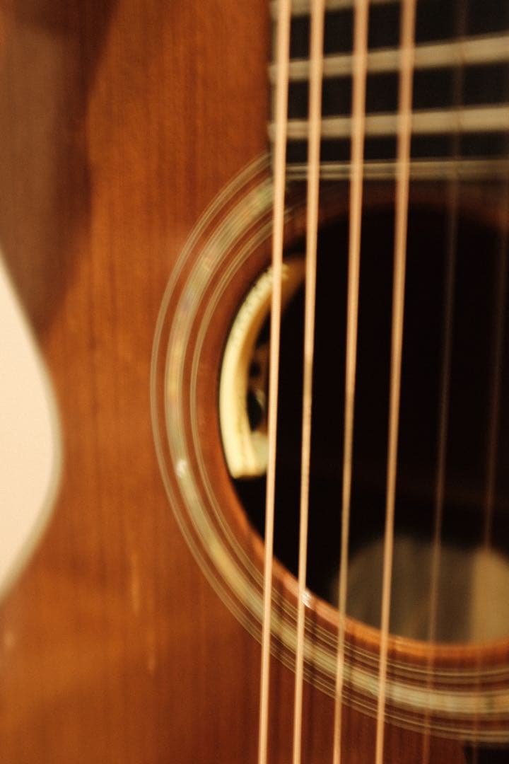 Taylor812 1980年代 オールドテイラー 82万→72万SALE中