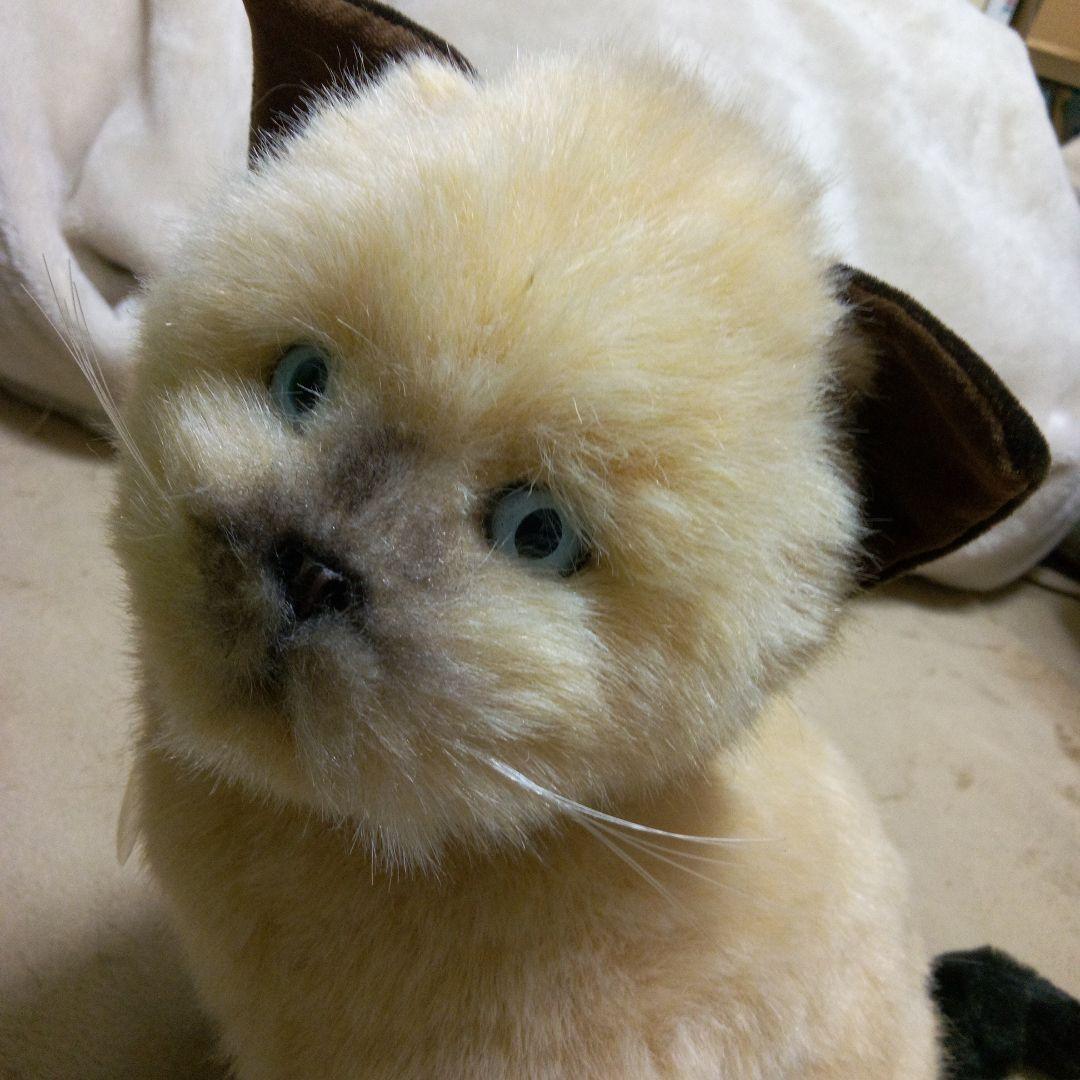 猫レトロぬいぐるみ　リアルねこ　WATFORD
