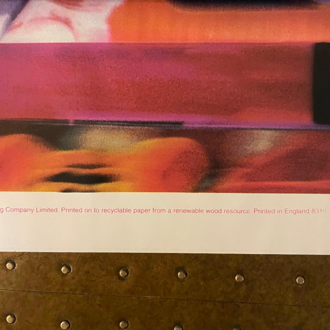 90s デッドストック bjork 大判ポスター