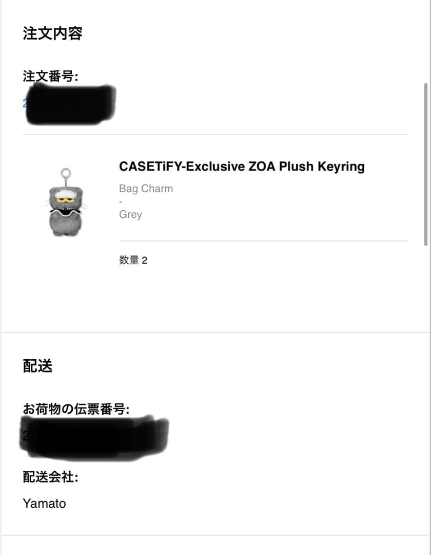 ZO&FRIENDS CASETiFY ZOAキーリング　　ジヨン