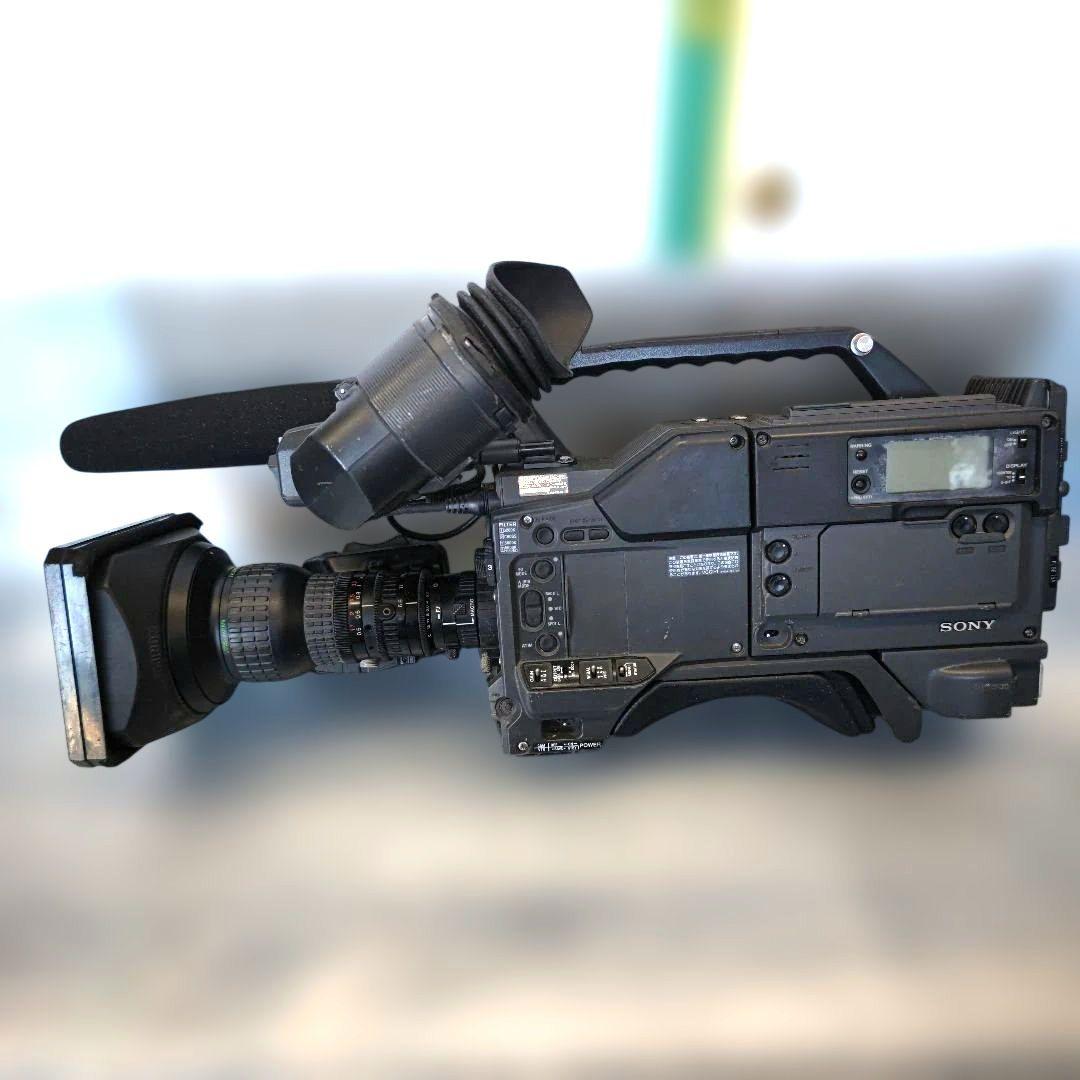 レンズのみ コロッセオ