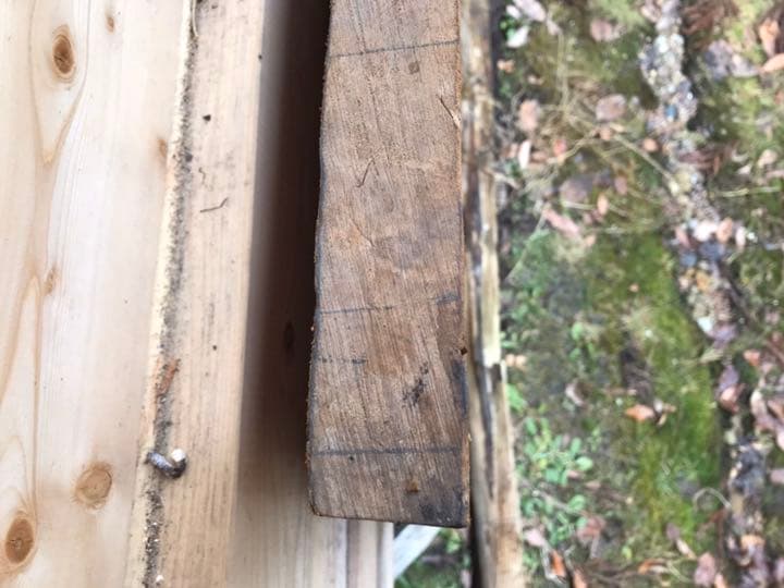 栃の木、栃の一枚板