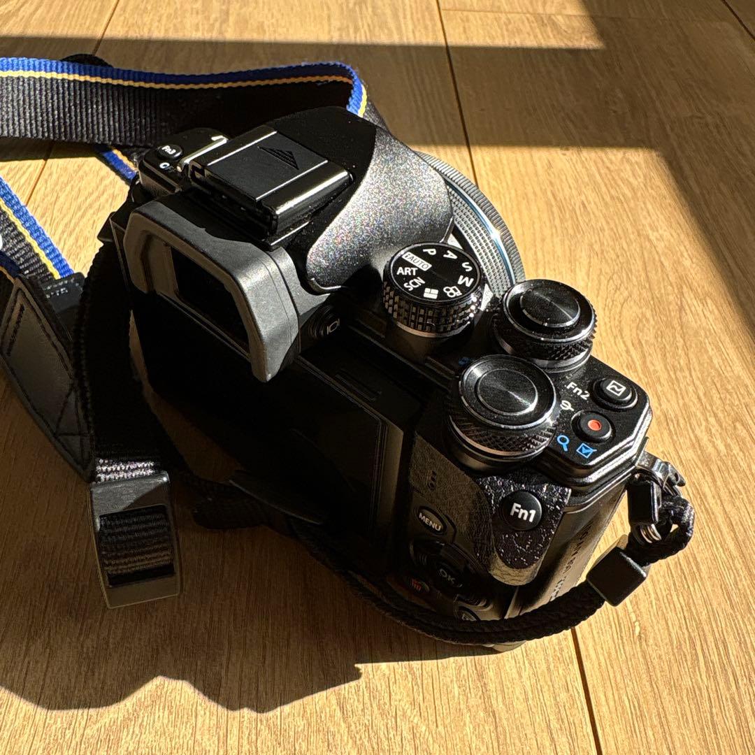 オリンパスOM-D E-M10 Mark Ⅱ ダブルズームレンズキット