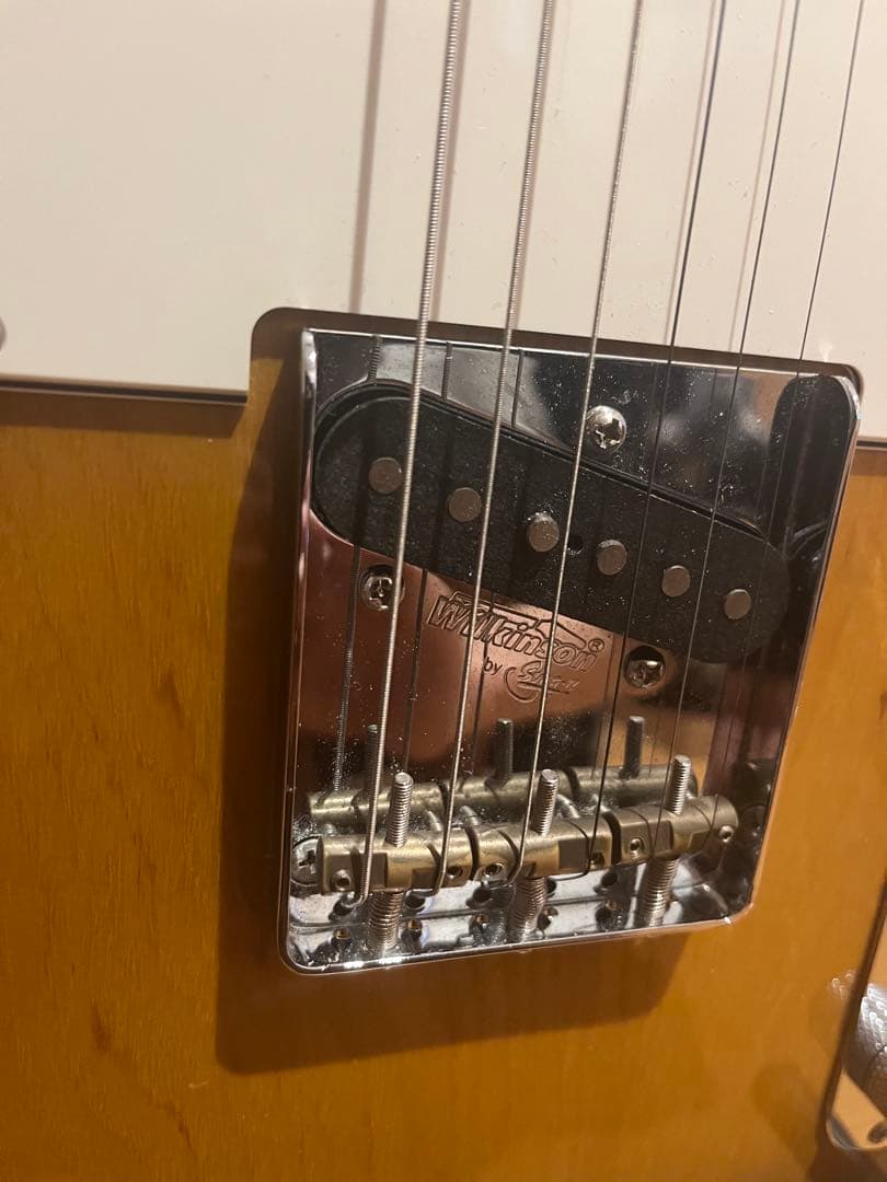 FUJIGEN フジゲン　テレキャスター　NTL21R