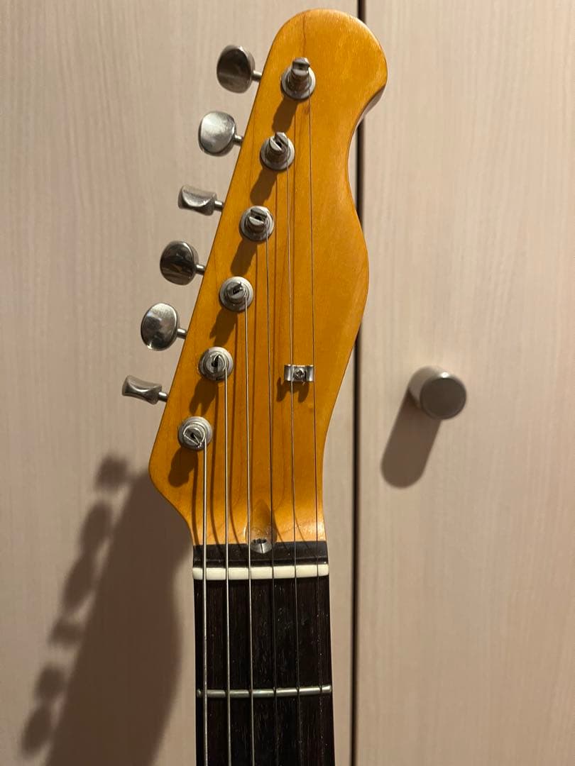 FUJIGEN フジゲン　テレキャスター　NTL21R