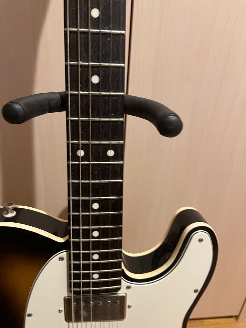 FUJIGEN フジゲン　テレキャスター　NTL21R