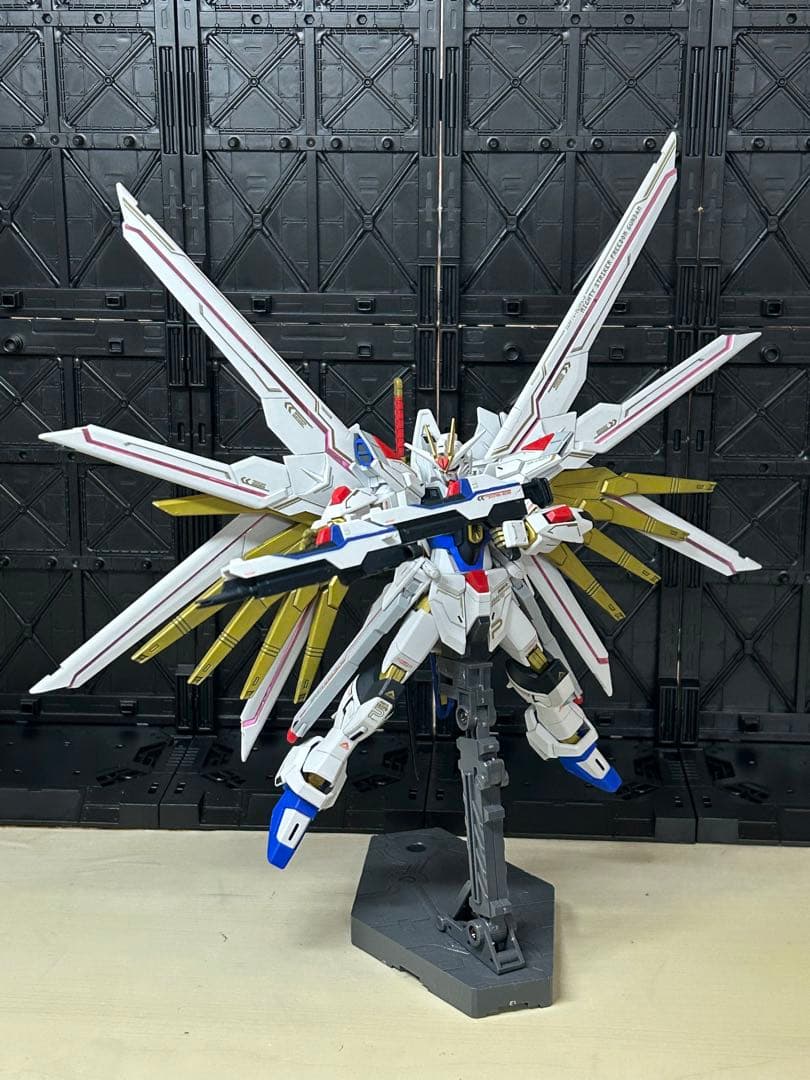 マイティーストライクフリーダムガンダム　塗装完成品　部分塗装　HG