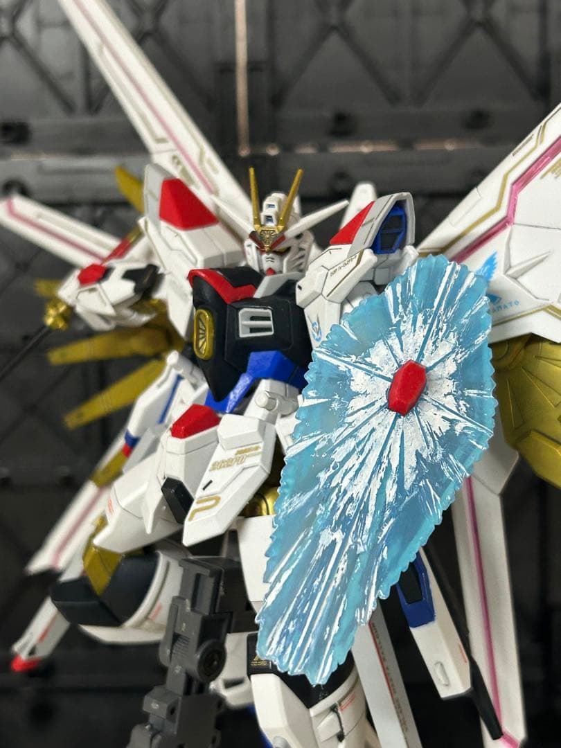 マイティーストライクフリーダムガンダム　塗装完成品　部分塗装　HG