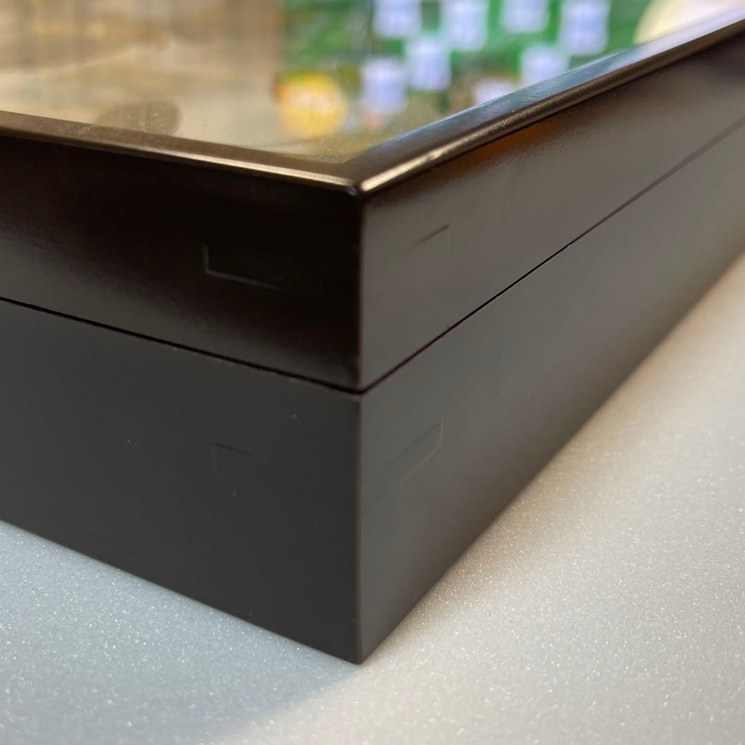 キシタアゲハ　11頭