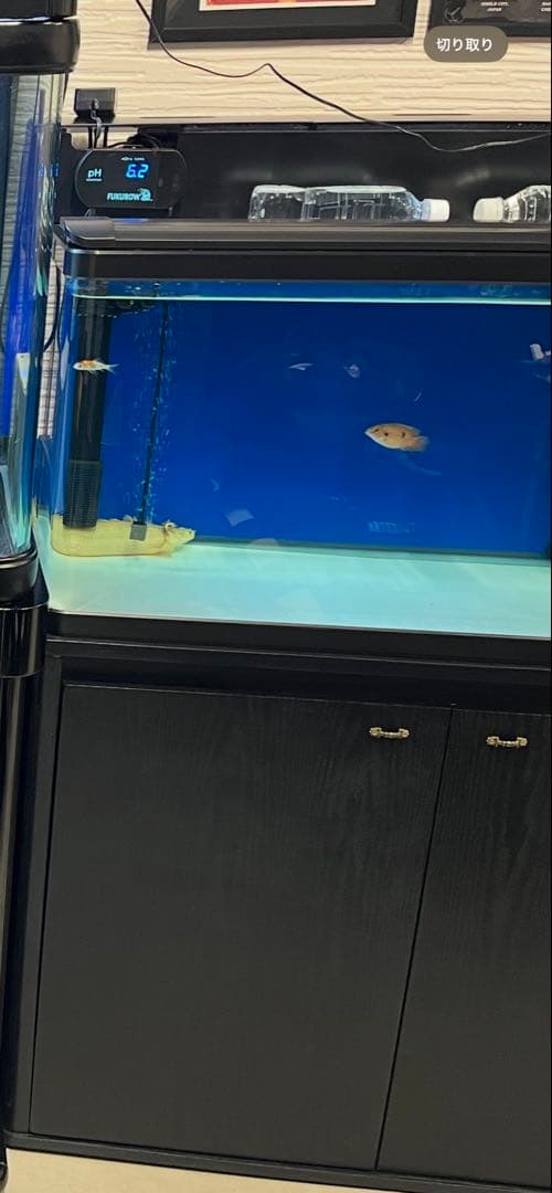 New Stingray 113水槽とキャビネットセット