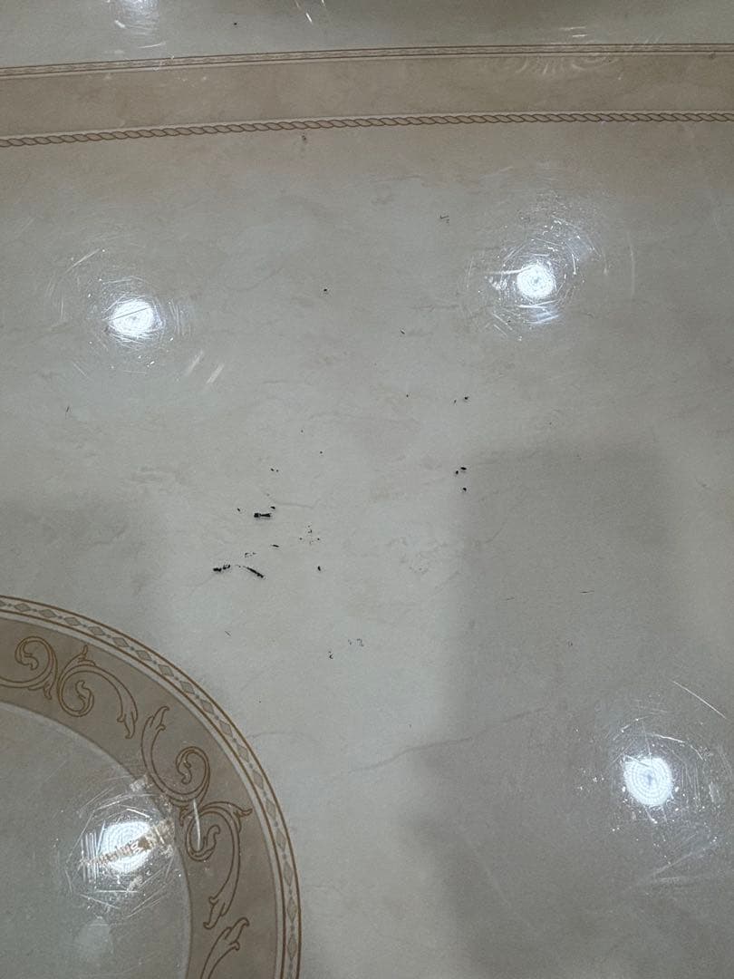 T53 ダイニングセット サルタレッリ アマルフィ イタリア家具