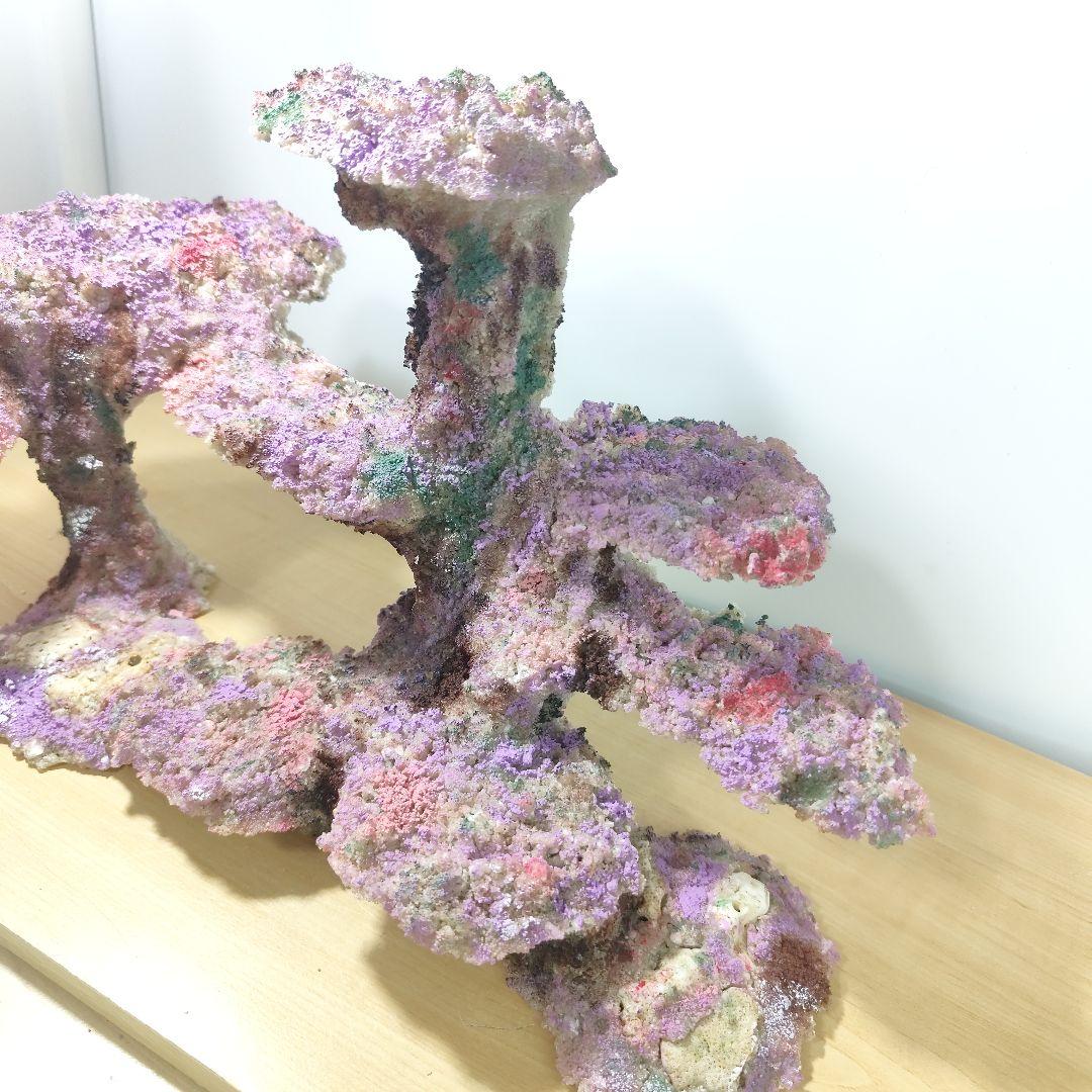 ❖新品アク抜き不要 人工ライブロック 60cm海水水槽用 レプリカ 多孔質安い1