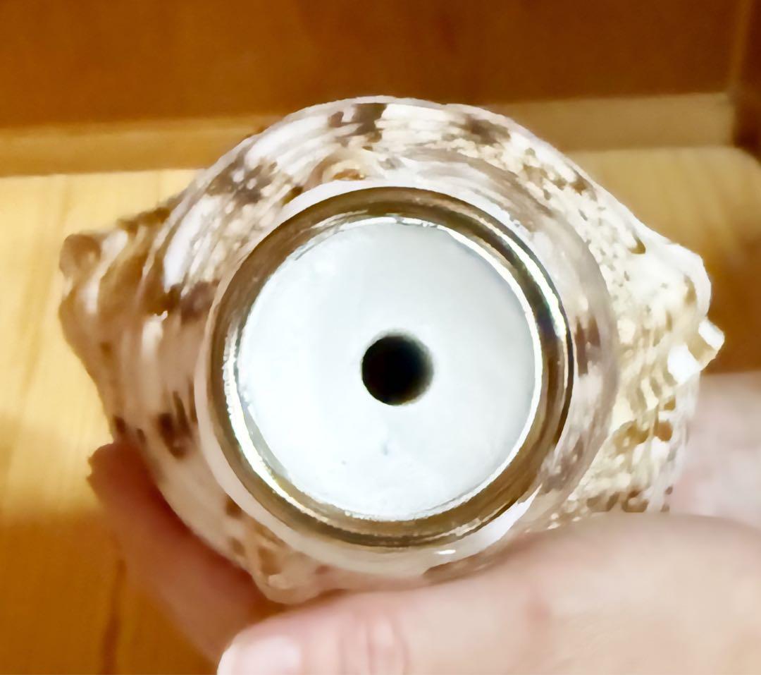 修験道法螺貝　山伏　密教　熊よけ　魔除け❣️ホラガイ　ほら貝