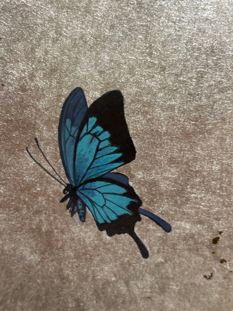 イヂチアキコ 「セイジャ」 (蝶と女性の日本画（青色）)