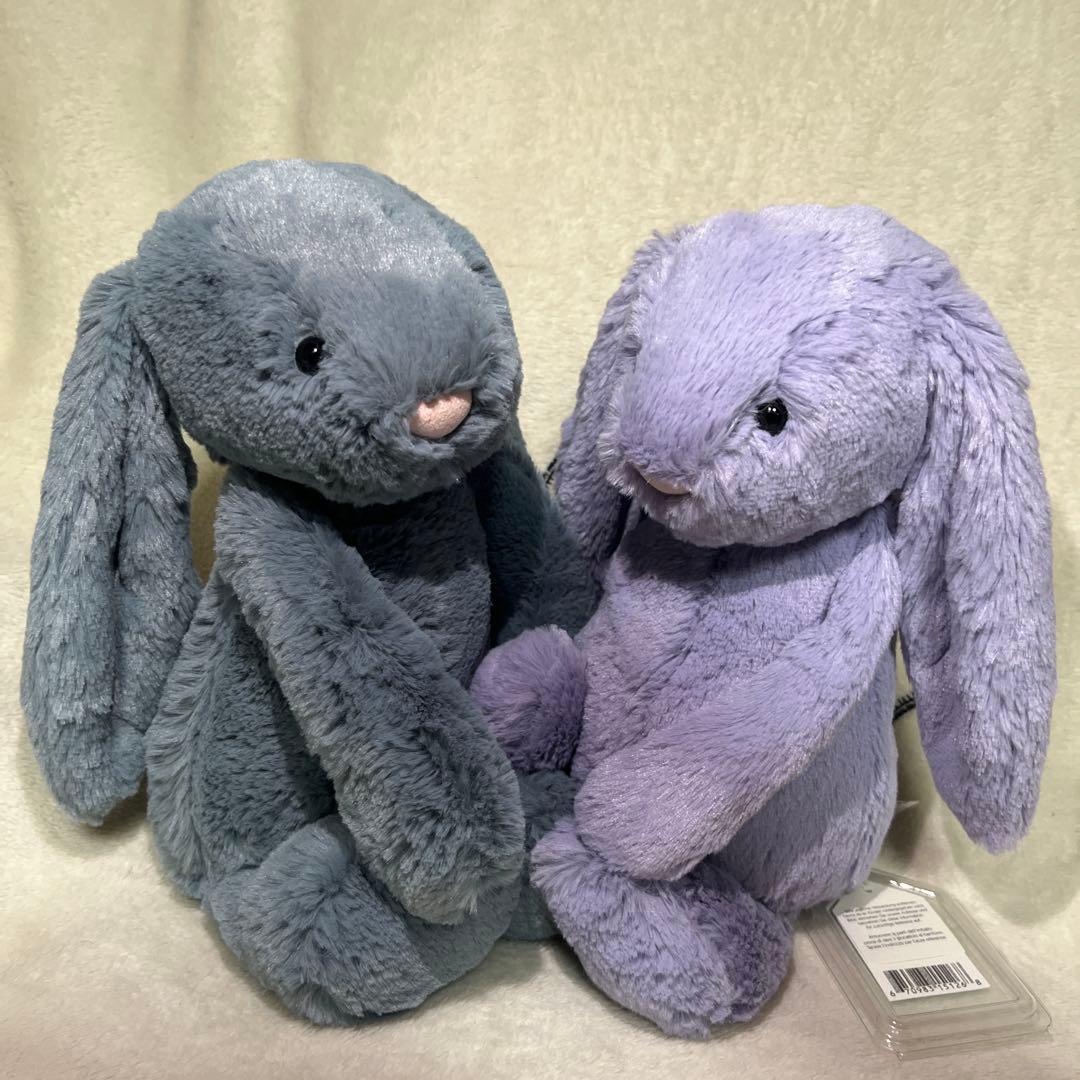  Bashful Dusky Blue ・Viola