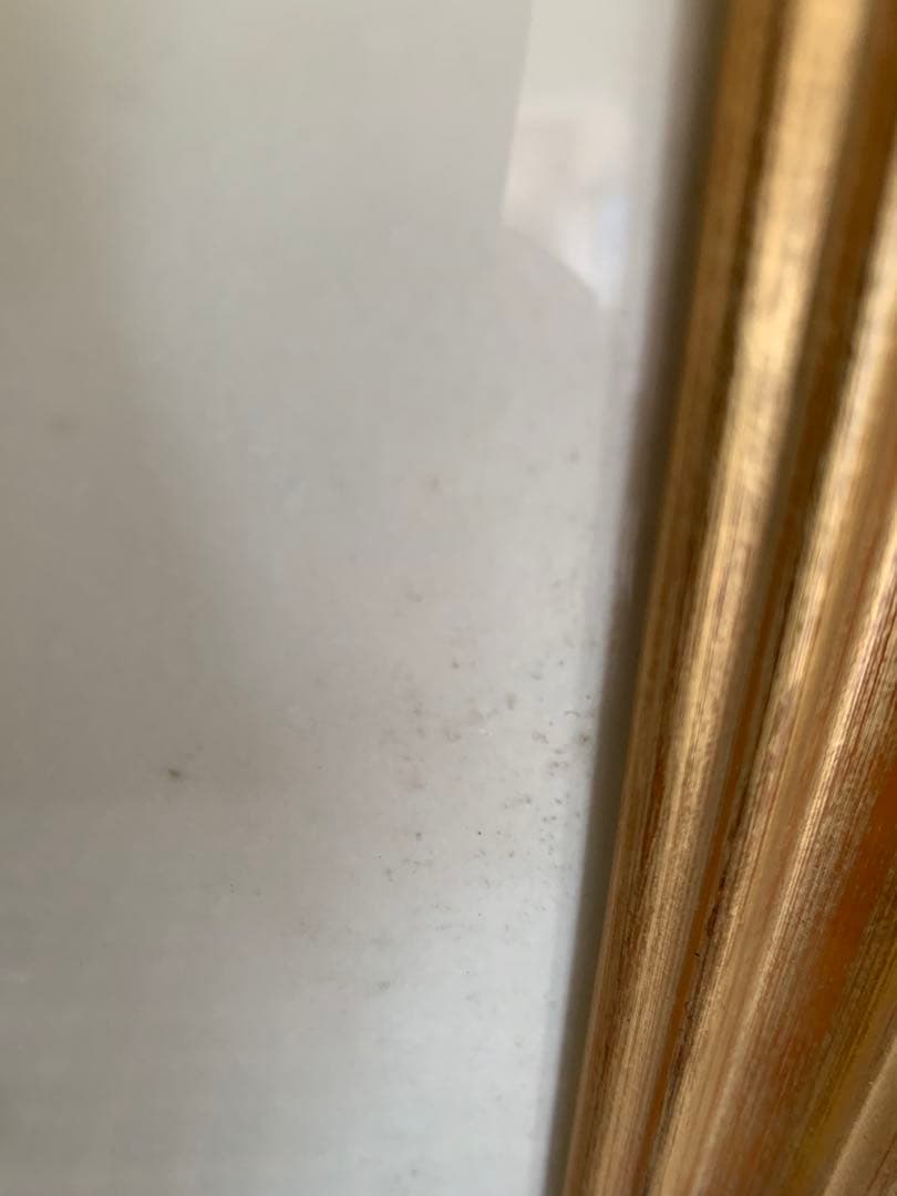 モルフォ蝶 羽絵 アート アンティーク インテリア 額装 羽細工 蝶標本 壁掛け