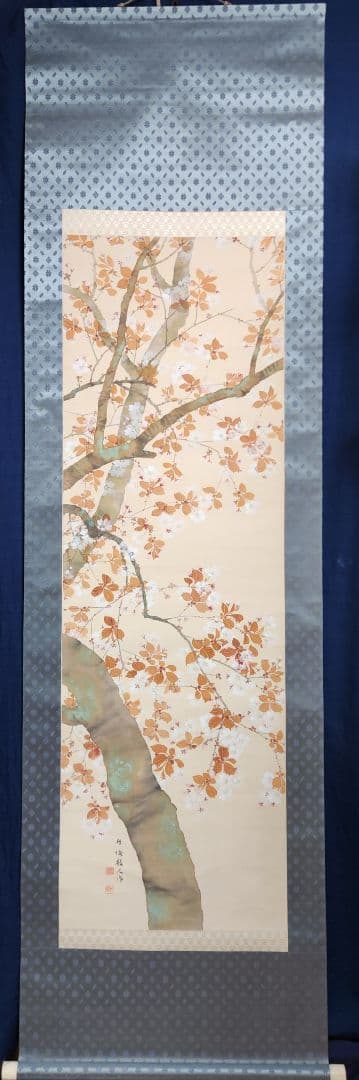 【桜花図】土居竹塘 2710 サクラ 春掛け 掛け軸 肉筆