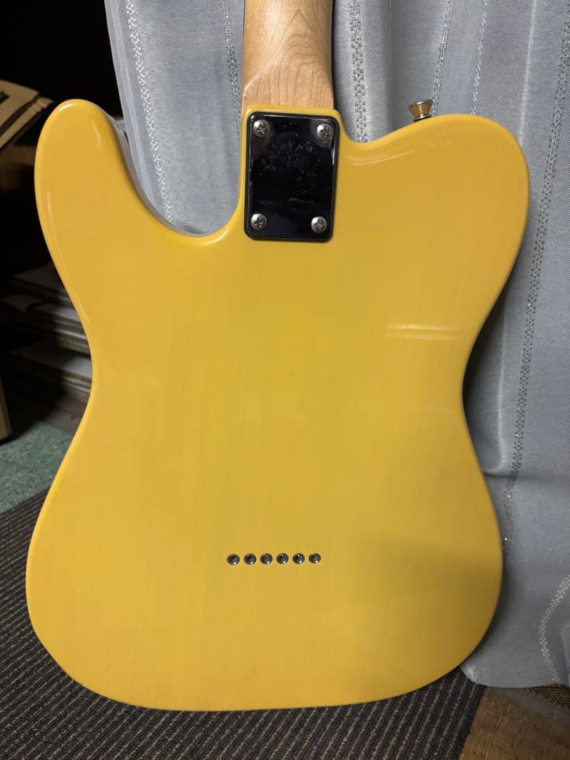 Bucchus universe series テレキャスター エレキギター