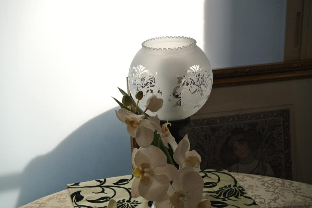 ニコンNikon1 V1 ブラックボディ パワーズームレンズ ショット数4313