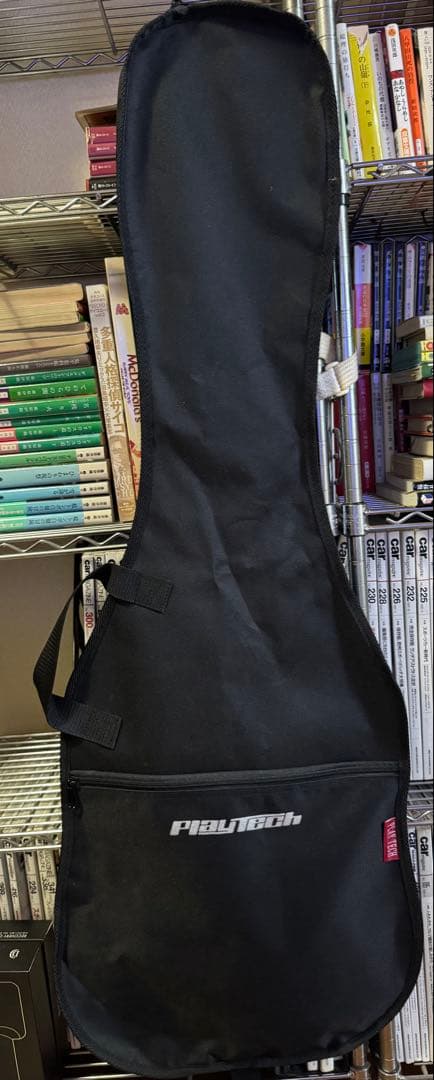 Fender Stratocaster MADE IN JAPAN フジゲン