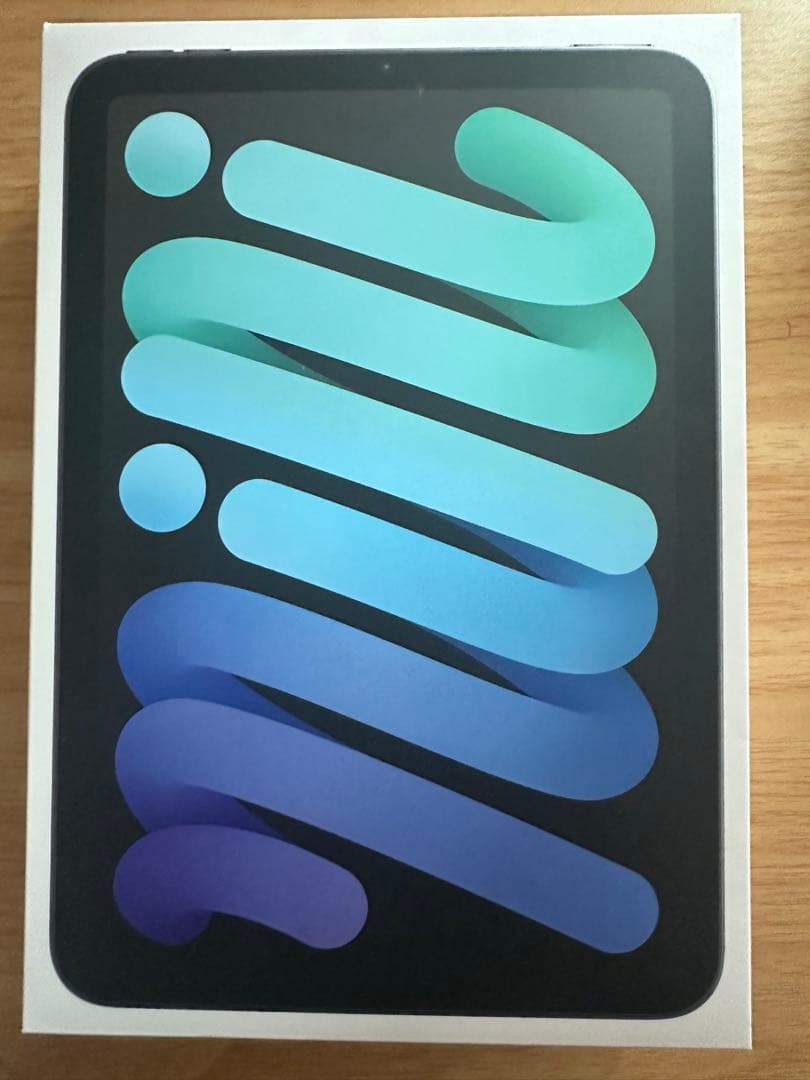 Apple iPad mini 7 128GB Wi-Fi スペースグレー