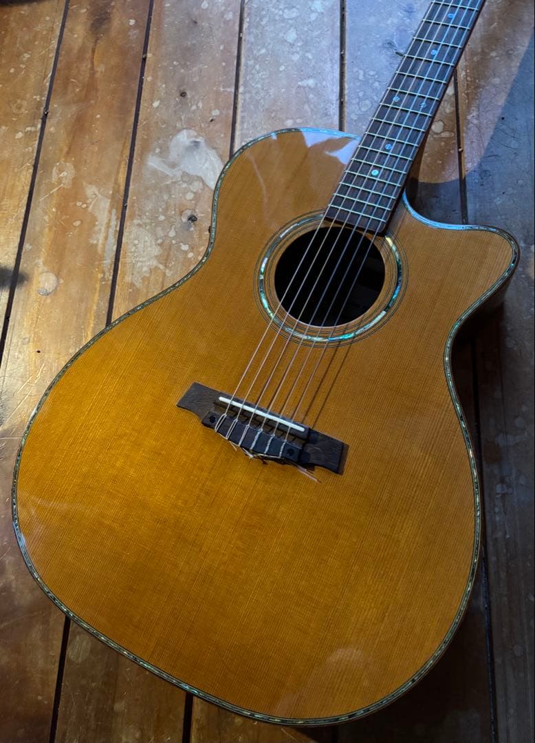 エレガット Playtech ECL-200