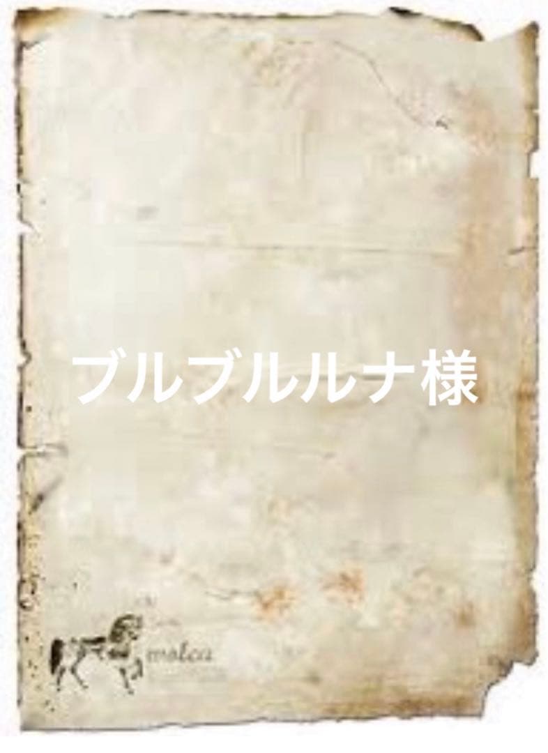 ブルブルルナ様 リクエスト 6点 まとめ商品