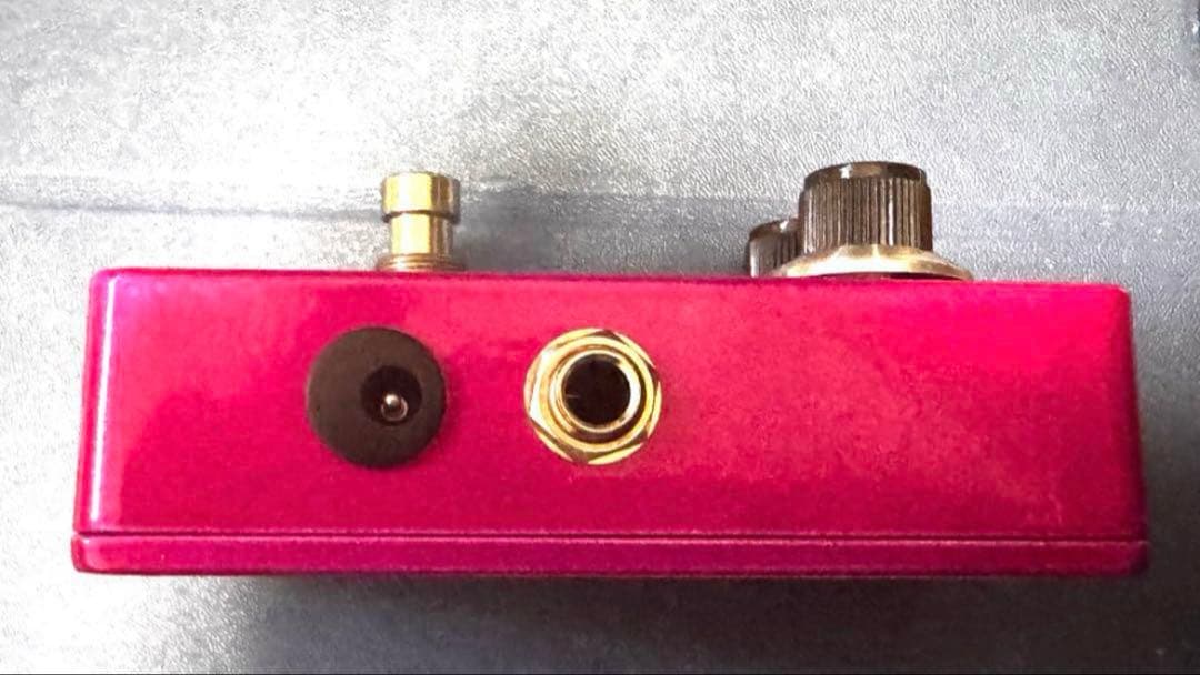 【値下げ】ACIDTONE BUZZ FACE Paisley