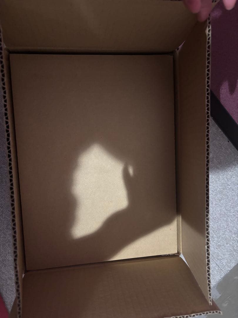 遊戯王OCG 限定版カードコレクション