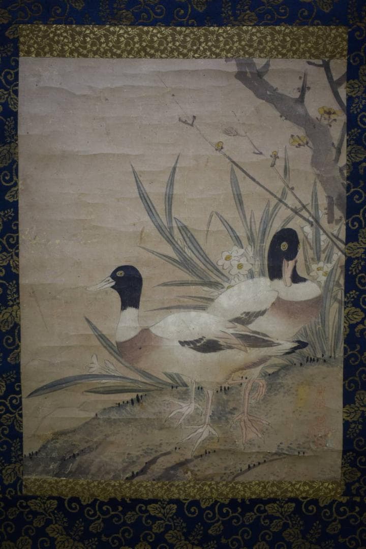 真作/狩野探幽/鴨の図/絹表装/布袋屋掛軸HH-508