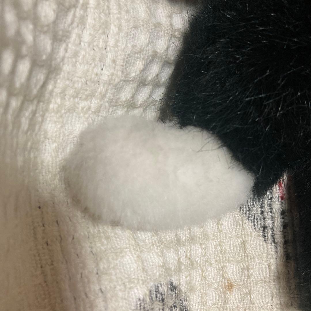 モンスイユ　 MAY BLUE シャム猫シリーズ　黒猫 ぬいぐるみ