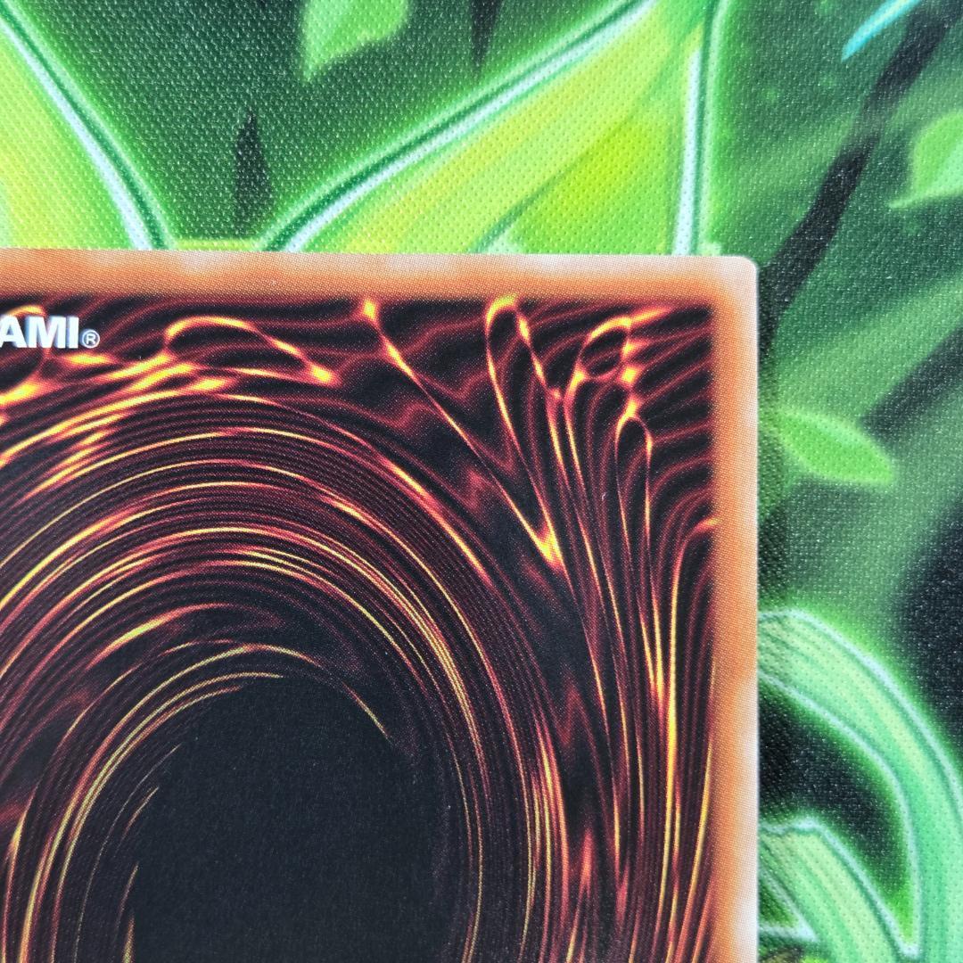 遊戯王 妖精伝姫－カグヤ 25thシク クオシク 五つ目