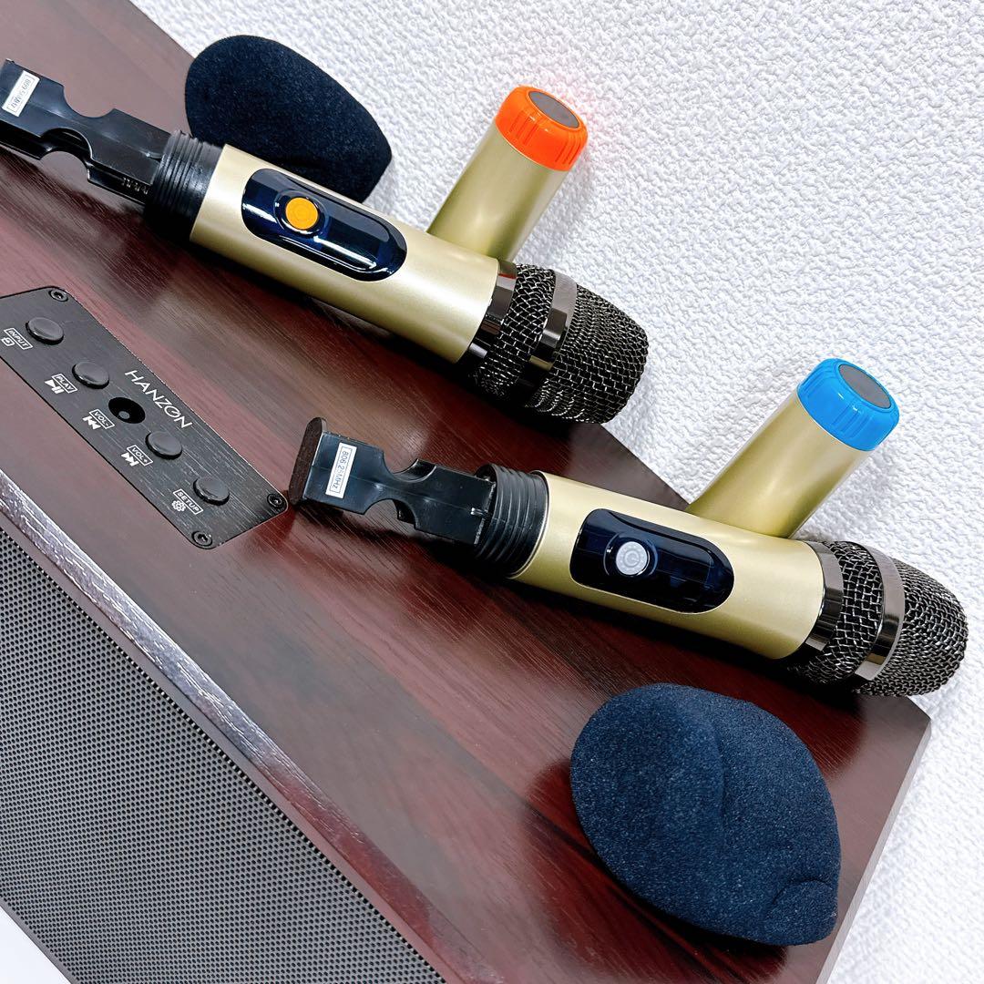 HANZON TX-80HD 木目調 カラオケスピーカー