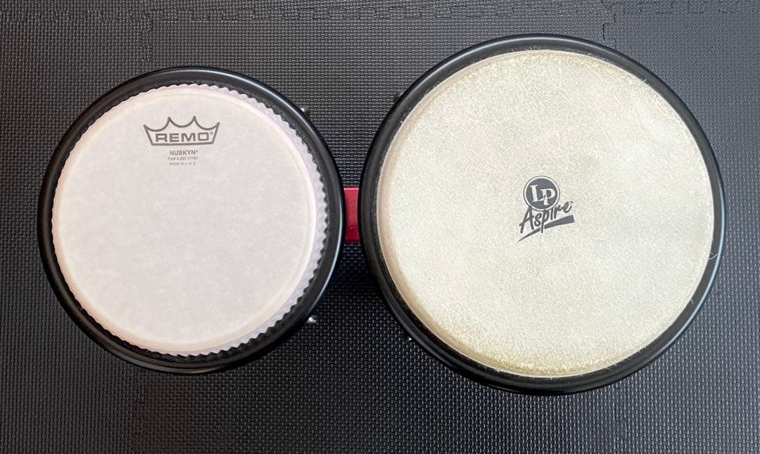 LP Aspire レッドボンゴ