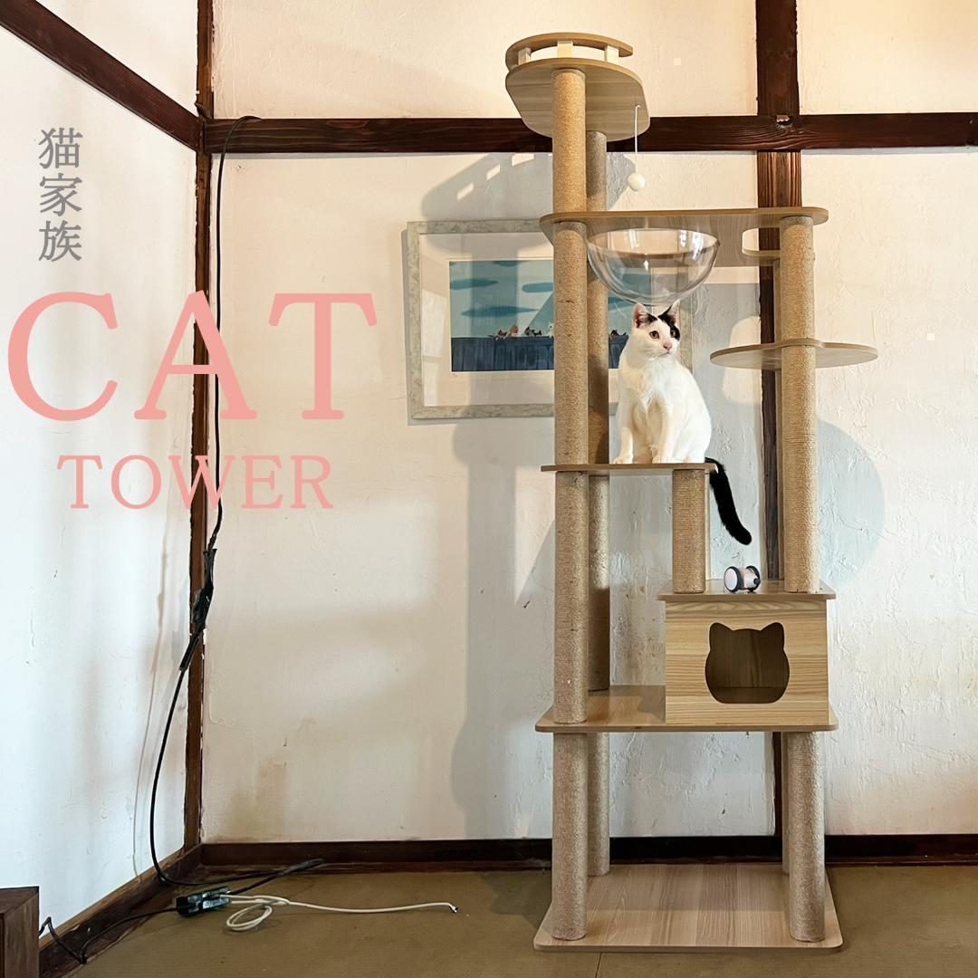 キャットタワー 木製 宇宙船カプセル 大型猫 据え置き型 多頭飼い 可愛い　透明