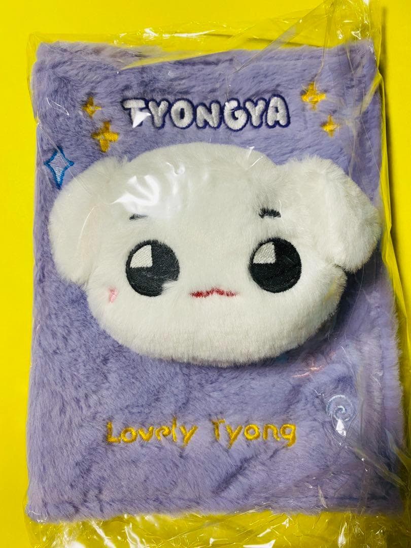 NCT127 テヨン テョンヤ コレクトブック バインダー