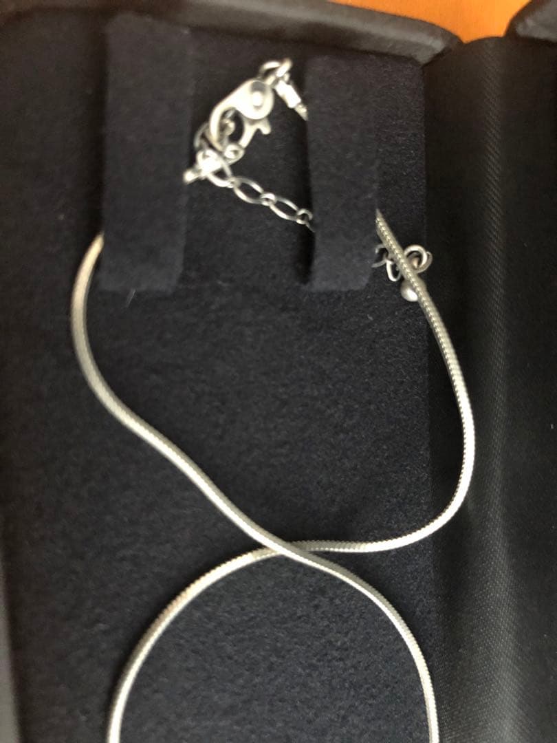 HYDE FC会員限定 蛇 りんご Independent Gold Apple