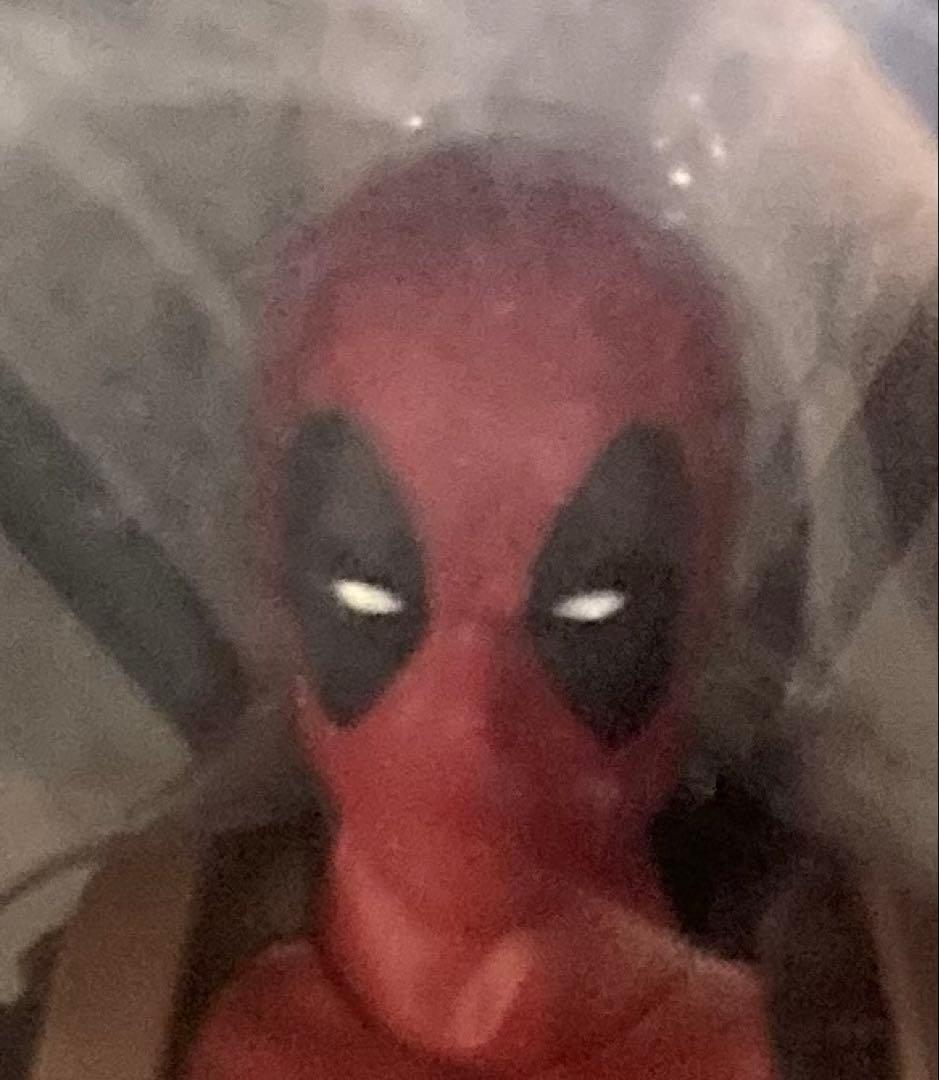 【専用】マーベルレジェンド　マキシマム シリーズ　デッドプール