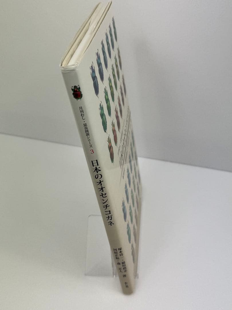 【むし社】日本のオオセンチコガネ