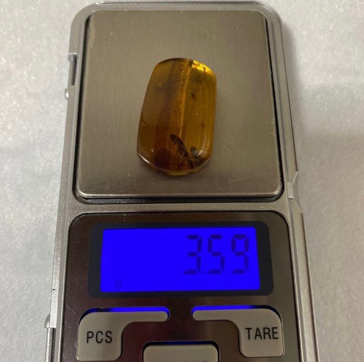 アンバー 琥珀  昆虫 コレクション 天然石 虫入り ゴキブリ 価値上がる 宝石
