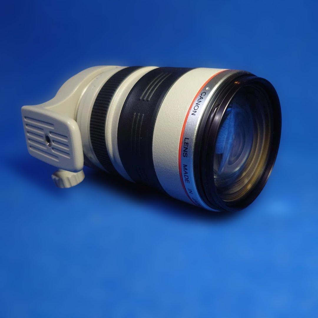 【訳あり】Canon Zoom EF35-350mm f/3.5-5.6L