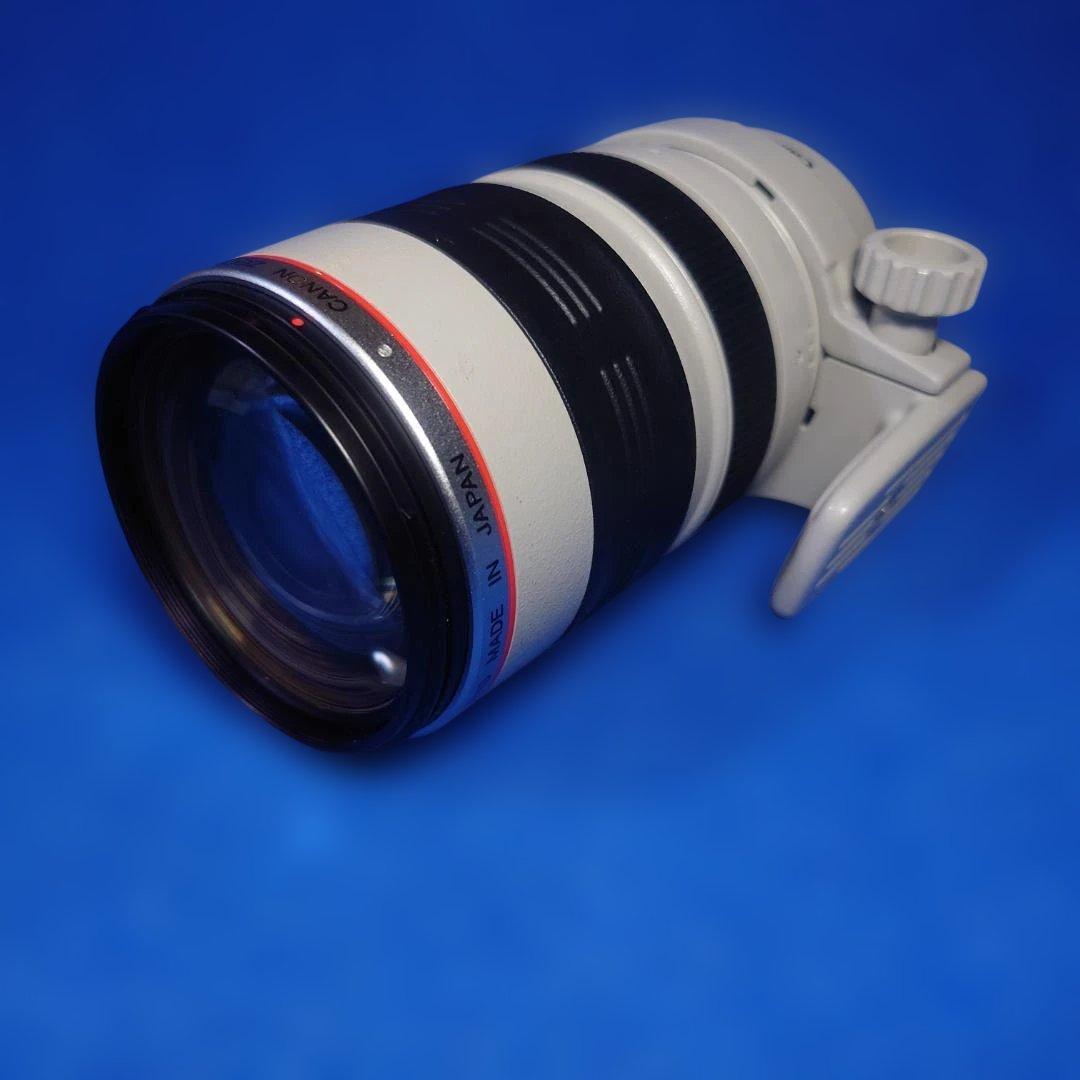 【訳あり】Canon Zoom EF35-350mm f/3.5-5.6L