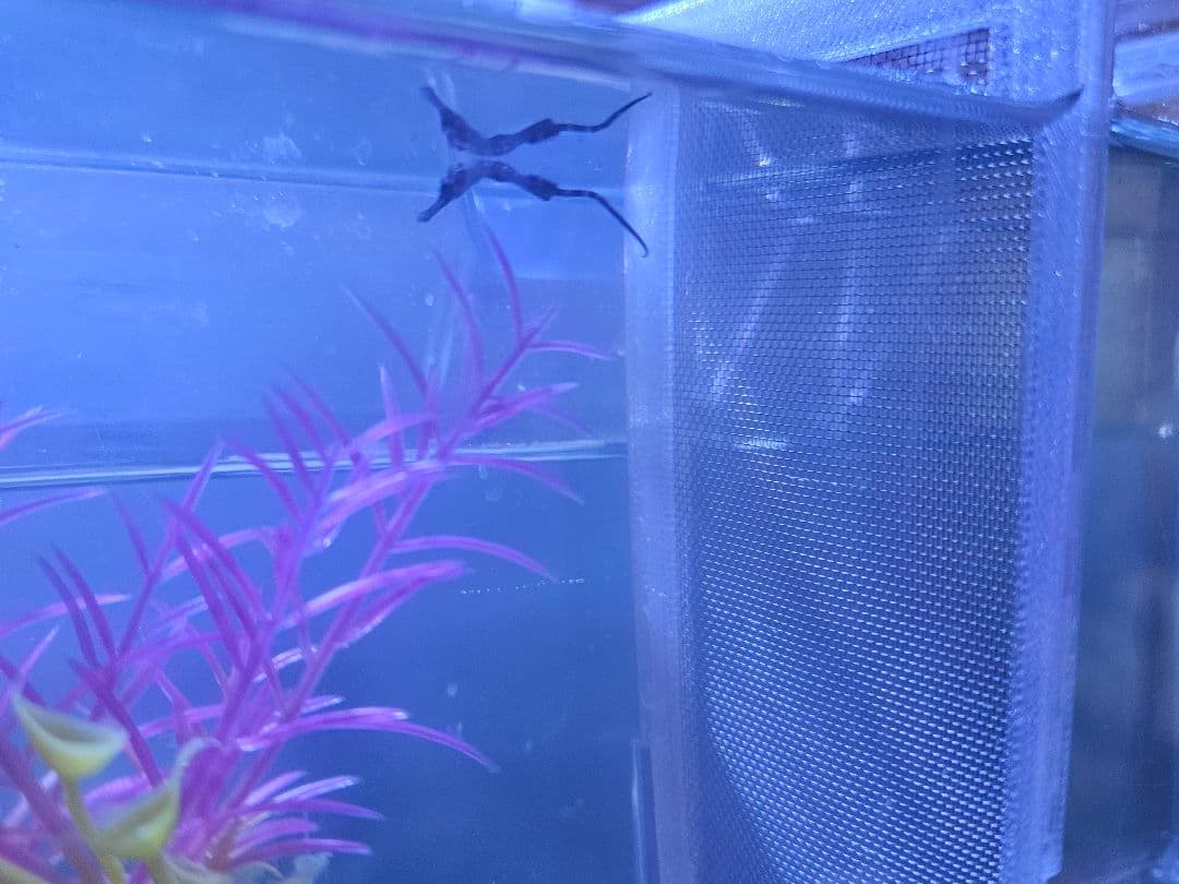 【拡張パーツ】スドー　サテライトM／サテライトL用メッシュ仕切板　注文用