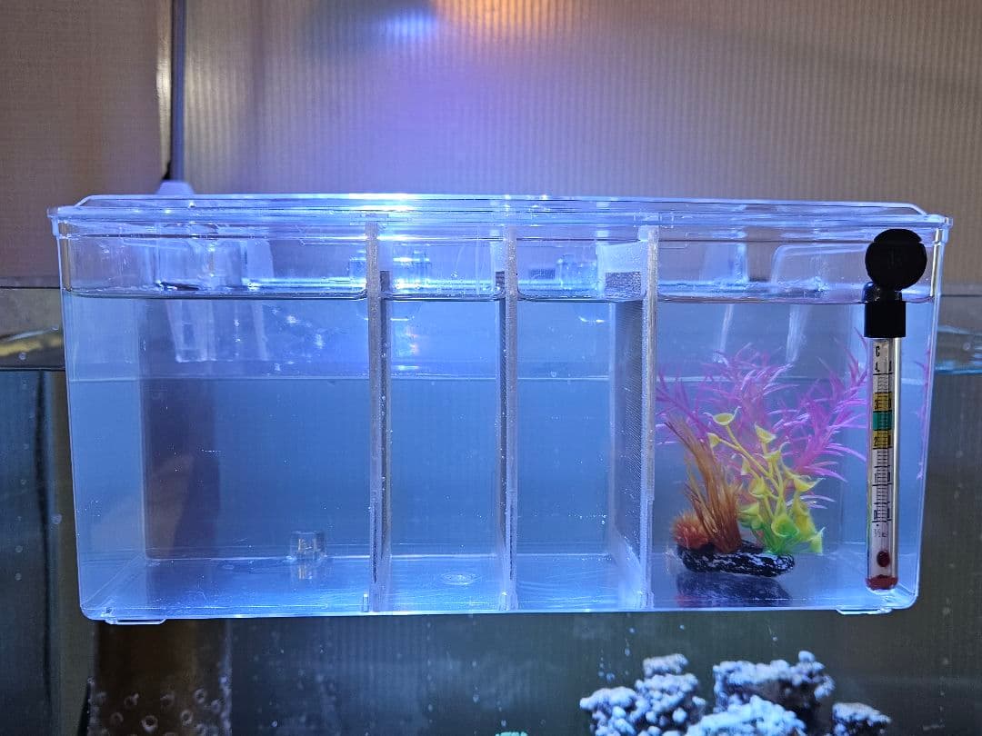 【拡張パーツ】スドー　サテライトM／サテライトL用メッシュ仕切板　注文用