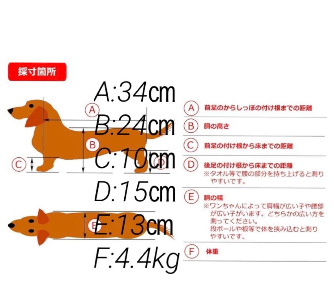 犬用車椅子　歩行器　小型犬用　4輪　オーダーメイド　老犬　運動　リハビリ